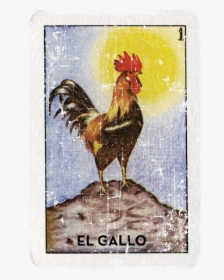 El Gallo Mexican Loteria Bingo Card - Loteria Cards El Gallo, HD Png Download, Transparent PNG