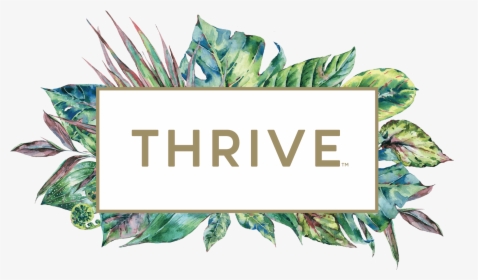 Thrive - Thrive Wine Logo Transparent, HD Png Download, Transparent PNG