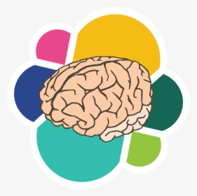 Cerebro - Elasticsearch - Brain Clipart Transparent Background, HD Png Download, Transparent PNG