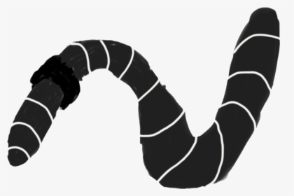 Black Earthworm Illustration - Insect, HD Png Download, Transparent PNG
