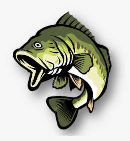 Bass Fish Clipart Png, Transparent Png, Transparent PNG