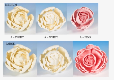 Peony Heads Flower Icing Cake Decorations - Garden Rose Icing Flower, HD Png Download, Transparent PNG