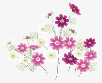 Transparent Wild Flower Clipart - Pink Wildflower Clipart, HD Png Download, Transparent PNG