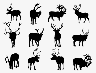 Reindeer Silhouette Clip Art - Silhouettes Of Animals Tropical Rainforest, HD Png Download, Transparent PNG