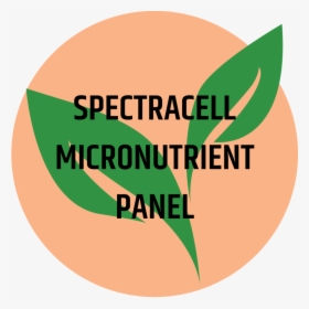 Spectracell Micronutrient Panel - Circle, HD Png Download, Transparent PNG