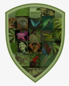 Amazon Warrior Shield - Floral Design, HD Png Download, Transparent PNG