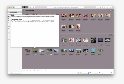 Multimedia Software, HD Png Download, Transparent PNG