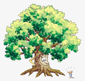 Tree, Trees, Forest, Vegetation, Adobe, Adobe Photoshop - Tree, HD Png Download, Transparent PNG