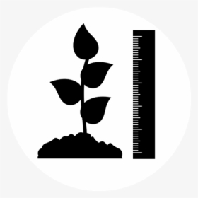 Plant Height Icon Png, Transparent Png, Transparent PNG