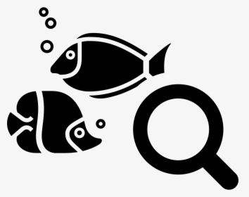 Png File Svg, Transparent Png, Transparent PNG