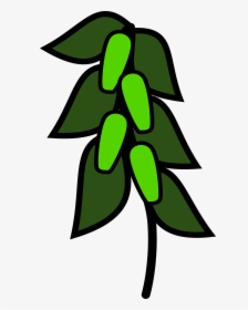 Pohon Kacang Hijau Kartun, HD Png Download, Transparent PNG