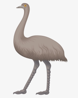 Emu Clip Art - Emu Clipart, HD Png Download, Transparent PNG