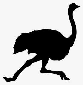 Ostrich Silhouette, HD Png Download, Transparent PNG