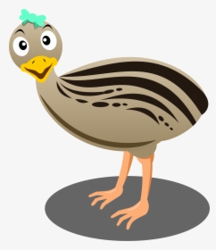 Ostrich Clipart Cartoon - Emu Cartoon Transparent, HD Png Download, Transparent PNG
