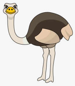 Free Collection Download And - Ostrich Clipart, HD Png Download, Transparent PNG
