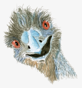 Emu Png, Transparent Png, Transparent PNG