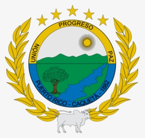 Flag Of Puerto Rico, HD Png Download, Transparent PNG