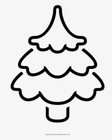 Pine Tree Coloring Page, HD Png Download, Transparent PNG