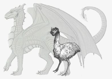 Wildlife Fauna Line Art Extinction Sketch - Emu Dragon, HD Png Download, Transparent PNG