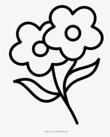 Flowers Coloring Page - Black And White Flower Coloring Page, HD Png Download, Transparent PNG