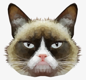 Cat Face With No Background, HD Png Download, Transparent PNG