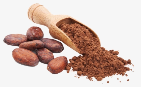 Transparent Cacao Png - Granos De Cacao Png, Png Download, Transparent PNG