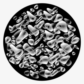 Dr Tiffany Watt-smith - Monochrome, HD Png Download, Transparent PNG