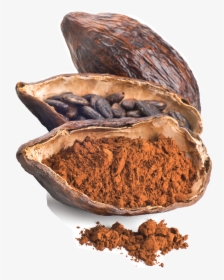 Free Download Cacao Bean, HD Png Download, Transparent PNG