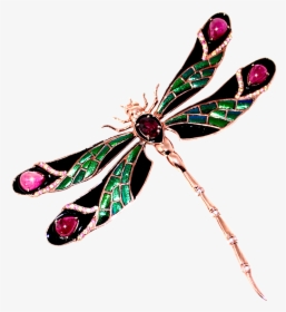 Transparent Dragonfly Wings Png - Net-winged Insects, Png Download, Transparent PNG
