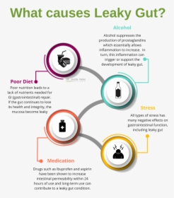 Causes Leaky Gut, HD Png Download, Transparent PNG