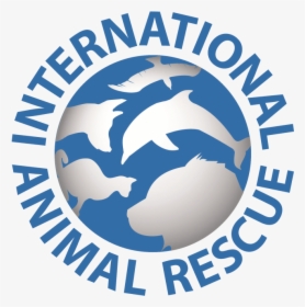 International Animal Rescue, HD Png Download, Transparent PNG