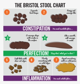 Bristolstoolchart - Bristol Stool Chart Fibre, HD Png Download, Transparent PNG