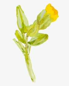 Yellow Cartoon Small Flower Watercolor Transparent - Yellow Watercolor Flowers With Transparent Background, HD Png Download, Transparent PNG