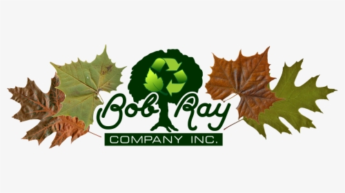 Bob Ray Co Truck Tree - Oak Leaf, HD Png Download, Transparent PNG