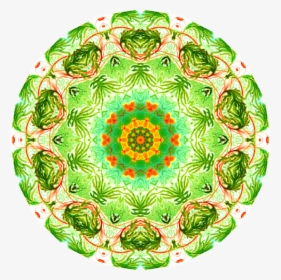 Circle,green,christmas Ornament - Circle, HD Png Download, Transparent PNG