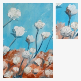 Cotton - Garden Roses, HD Png Download, Transparent PNG
