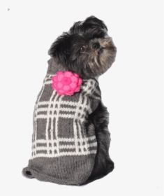 Grey Plaid Flower Dog Sweater - Girly Dog Sweaters, HD Png Download, Transparent PNG