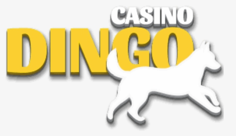Dingo Casino Logo Png, Transparent Png, Transparent PNG