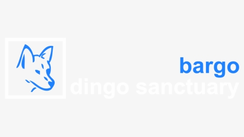 Transparent Dingo Png - Salva, Png Download, Transparent PNG