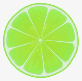 Lime Slice - Key Lime Transparent Drawing, HD Png Download, Transparent PNG
