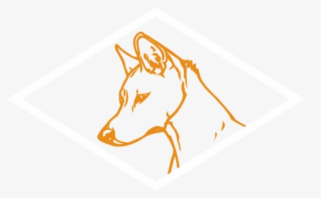 Dingo Distribution - Graphic Design, HD Png Download, Transparent PNG