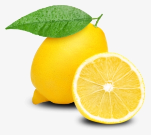 Lemon Clipart Clear Background - Lemon Clipart Png, Transparent Png, Transparent PNG