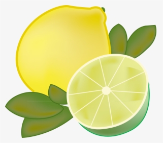 Lemon And Lime Clipart - Clip Art Lemon And Lime, HD Png Download, Transparent PNG