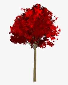 Maple, Tree, Painted Tree, Red, Nature, Image Painting - Tree Red Png, Transparent Png, Transparent PNG