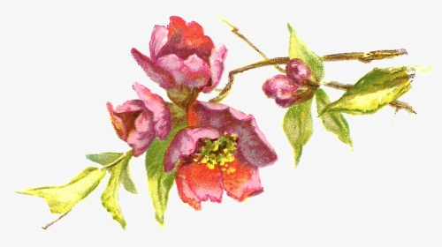 Burgundy Flower Clipart - Vintage Flowers Clipart Free, HD Png Download, Transparent PNG