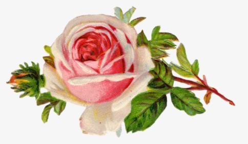 Free Rose Clip Art - Free Victorian Flower Clipart, HD Png Download, Transparent PNG