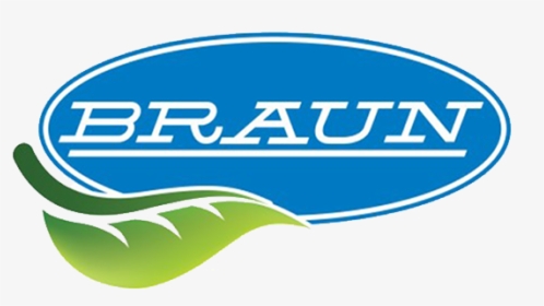 Braun - Oval, HD Png Download, Transparent PNG
