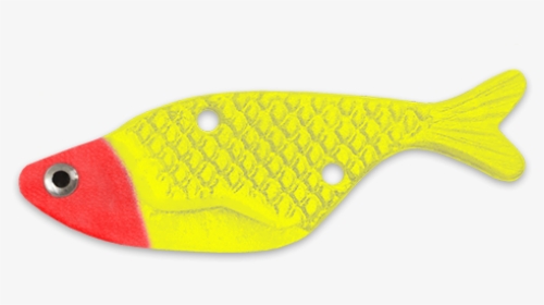 Red Head Sfc - Coral Reef Fish, HD Png Download, Transparent PNG