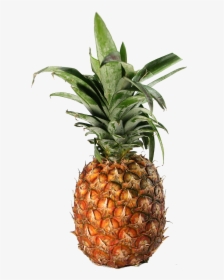 Transparent Pineapple - Pineapple, HD Png Download, Transparent PNG