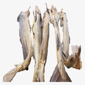 Dried Cod, HD Png Download, Transparent PNG